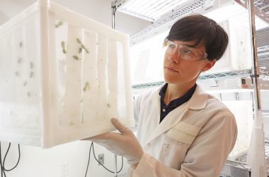 Bayer και ΙΜΒΒ-ΙΤΕ: Συνεργασία για καινοτόμες λύσεις κατά των εντόμων
