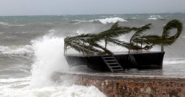 «Ξενοφών»: 520 κλήσεις στην Πυροσβεστική για κομμένα δέντρα