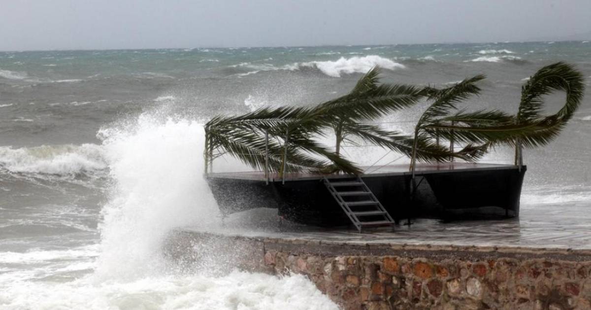 «Ξενοφών»: 520 κλήσεις στην Πυροσβεστική για κομμένα δέντρα