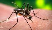 Daily Mail: Προειδοποίηση για τον ιό Ζήκα στη Μεσόγειο