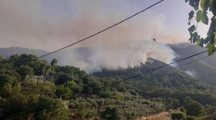Χωρίς ενεργό μέτωπο η πυρκαγιά στο Κουνούπι Αργολίδας