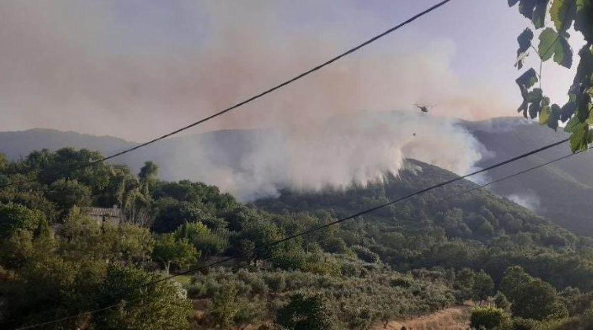 Χωρίς ενεργό μέτωπο η πυρκαγιά στο Κουνούπι Αργολίδας