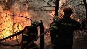 Έτοιμο τον Ιούνιο το νέο σώμα δασοκομάντος-Προετοιμασία της αντιπυρικής περιόδου