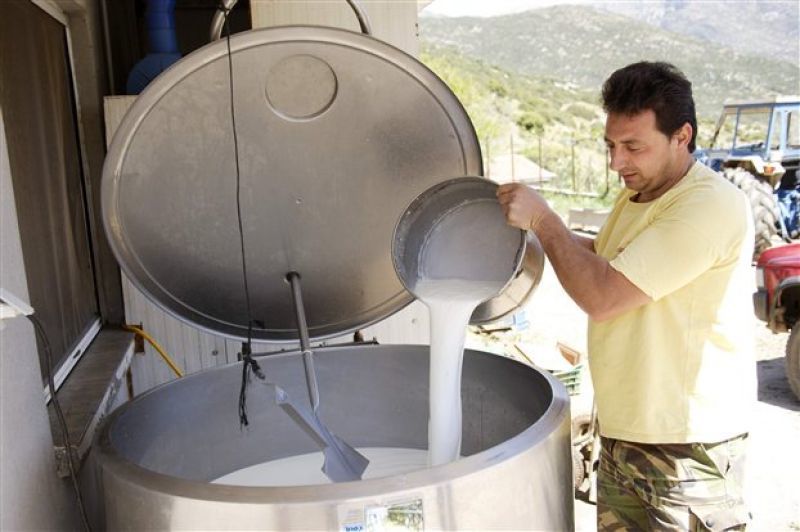 "Τράστ" παραγωγών στις απαιτήσεις της γαλακτοβιομηχανίας