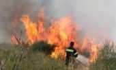 Ηλεία:Μάχη με τις φλόγες σε δύο μέτωπα στην Ανάληψη Αμαλιάδας