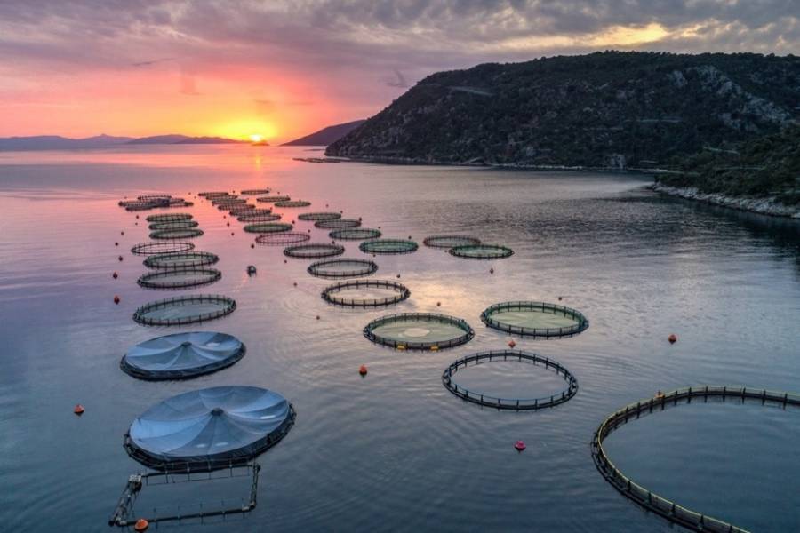 Επ.Ανταγωνισμού: Εγκρίθηκε η εξαγορά της Περσεύς από την Andromeda Seafood