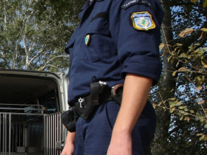 Υπ. Μετανάστευσης: Πρόσληψη επιπλέον 150 συνοριοφυλάκων
