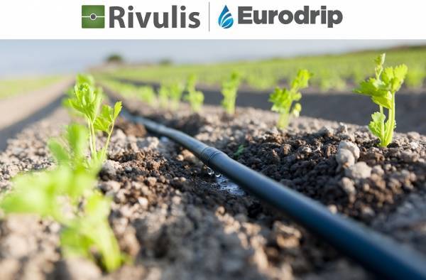 Rivulis-POLYPLASTIC: Κατασκευάζουν το πρώτο εργοστάσιο συστημάτων μικροάρδευσης στη Ρωσία