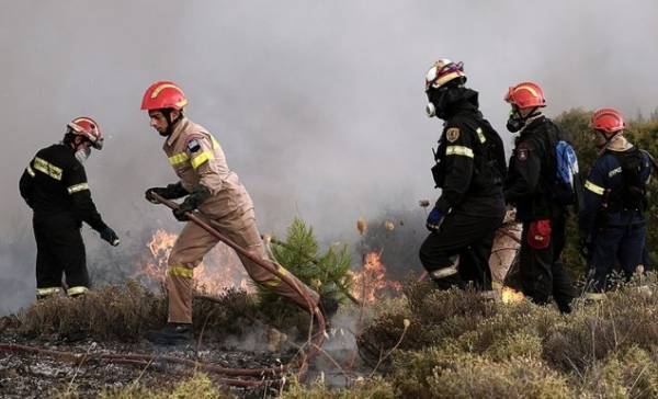 Πυρκαγιά στον Άγιο Στεφάνο Αττικής