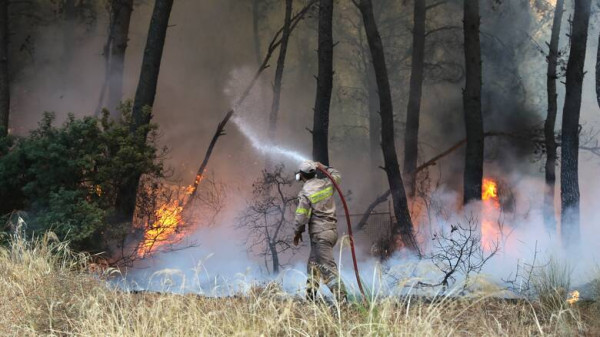 Πυροσβεστική: 65 δασικές πυρκαγιές το τελευταίο 24ωρο