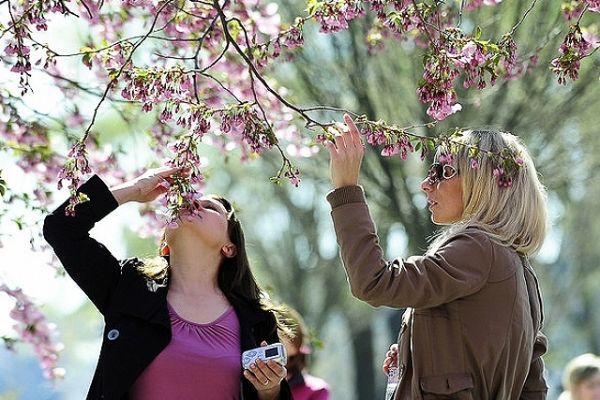 Μακάρι να σκεφτόμασταν σαν τους Σουηδούς