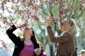 Μακάρι να σκεφτόμασταν σαν τους Σουηδούς