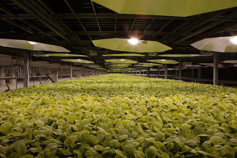 British American Tobacco: Ανάπτυξη πιθανού εμβολίου για κορονοϊό από θυγατρική στις ΗΠΑ