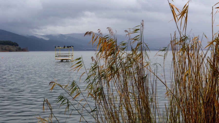 Natura 2000: Έγκριση νέας ειδικής περιβαλλοντικής μελέτης για Ήπειρο και Δυτική Μακεδονία