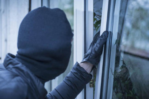 Ένοπλη ληστεία στην Εύβοια που πήραν...μέχρι και τον σκύλο