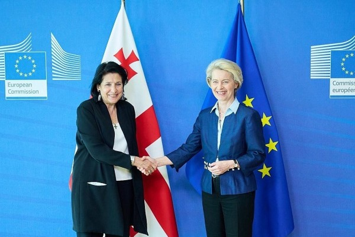Η Γεωργία ζητά καθεστώς υποψήφιας προς ένταξη στην ΕΕ