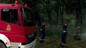Νέα πυρκαγιά στη Χαλκιδική