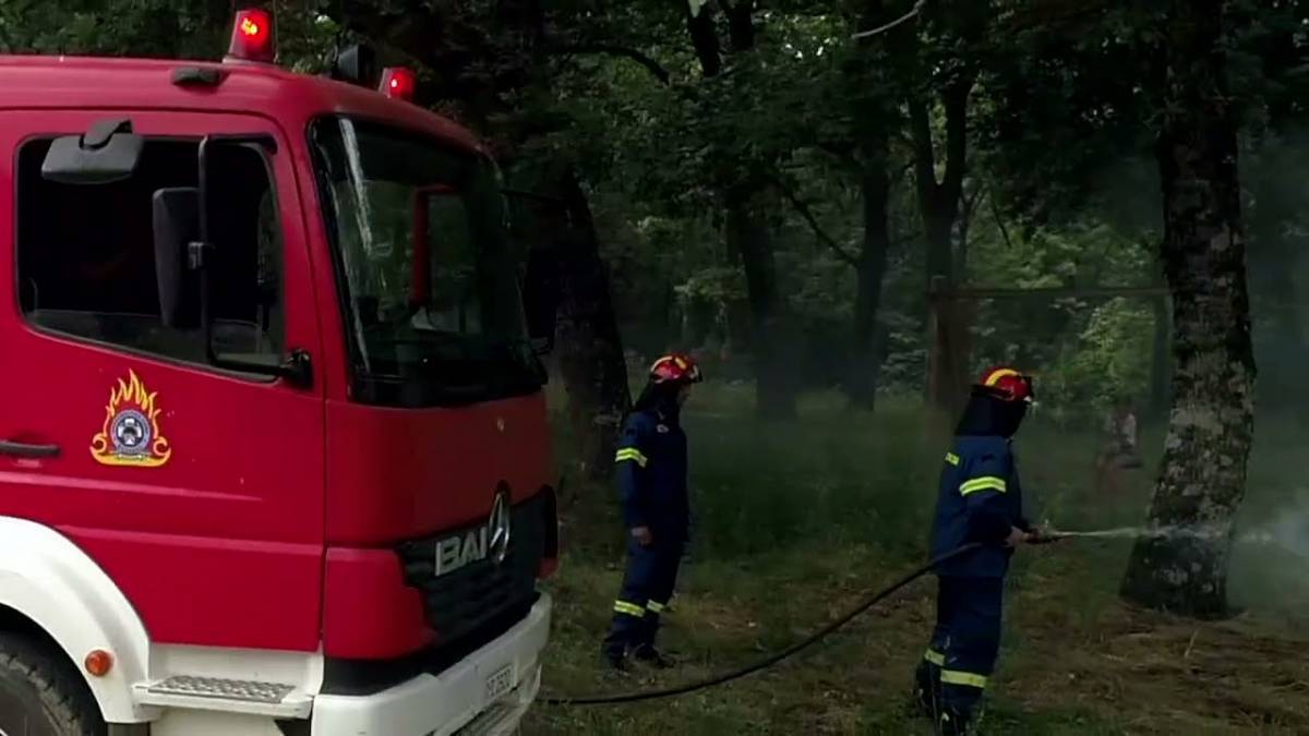 Νέα πυρκαγιά στη Χαλκιδική