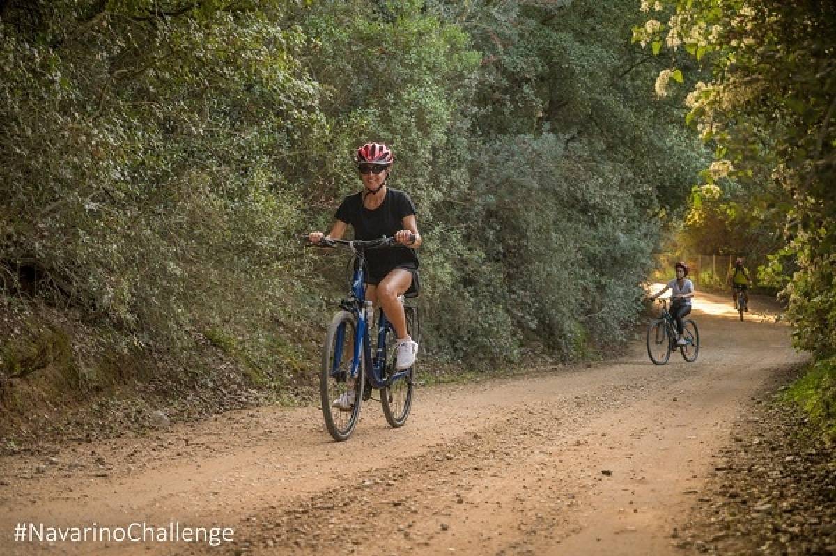 Ματαιώθηκε το Navarino Challenge 2020