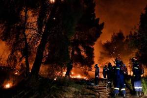 Σταμούλης: Είναι δύσκολο να γίνουν αντιπυρικές ζώνες στα Γεράνεια Όρη