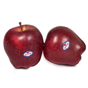 Ζαγορά Πηλίου: Δέσμευση για χαμηλή τιμή στα Π.Ο.Π. κόκκινα μήλα