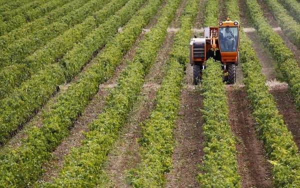 Γεωργία-Κτηνοτροφία: Αυξήθηκε κατά 3,7% ο δείκτης τιμών εκροών τον Απρίλιο