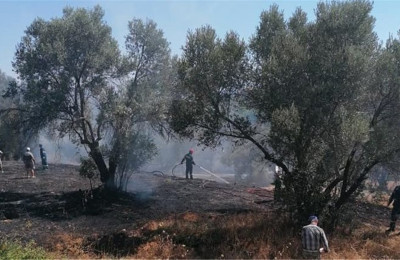 Πυρκαγιές 2021: Αποζημιώσεις €20,3 εκατ. σε αγρότες που επλήγησαν