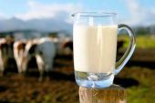 Αγελαδοτρόφοι: "Η επιμήκυνση της ζωής του φρέσκου γάλακτος κατά 5 μέρες θα βγάλει στην ανεργία 100 χιλ. άτομα"!