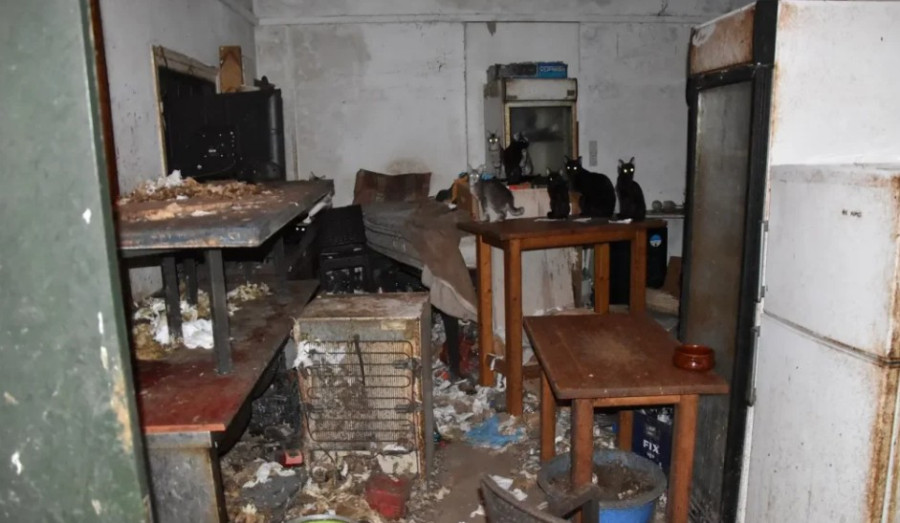 Δονούσα: Πρωτοφανές πρόστιμο 1,7 εκατ. ευρώ σε 63χρονο για βασανισμό ζώων