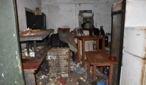Δονούσα: Πρωτοφανές πρόστιμο 1,7 εκατ. ευρώ σε 63χρονο για βασανισμό ζώων