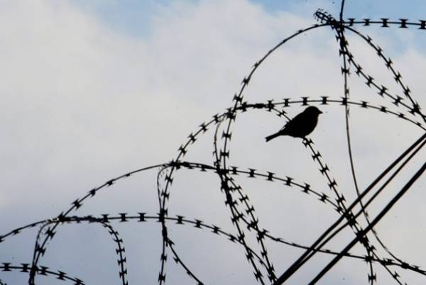 Απόδραση κρατούμενου από τις αγροτικές φυλακές Κασσάνδρας