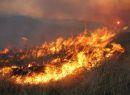 Ισπανία:Περίπου 1.000 άτομα απομακρύνθηκαν από τα σπίτια τους λόγω πυρκαγιάς