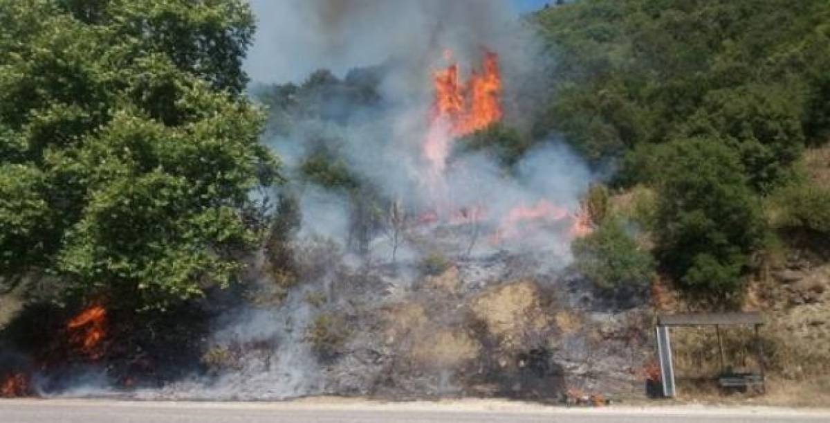 Πυρκαγιά σε δασική έκταση στις Ροβιές Ευβοίας
