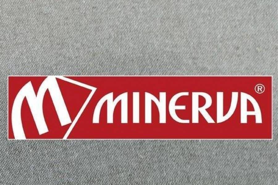 Minerva: Κατέγραψε κέρδη έναντι ζημιών στο γ' τρίμηνο