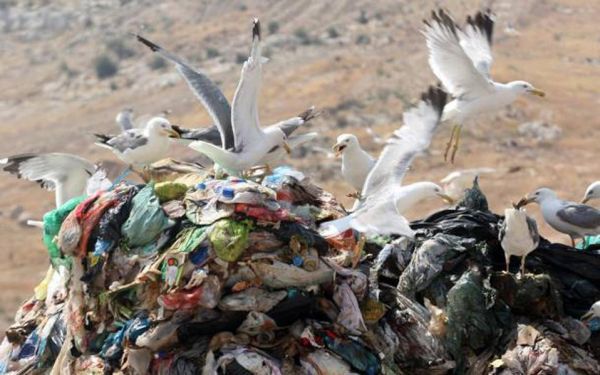 Eurostat: Στις χωματερές συνεχίζει να καταλήγει το 82% των αστικών αποβλήτων στην Ελλάδα- Αναλογούν περίπου 503 κιλά σκουπιδιών, ανά κάτοικο, ετησίως!