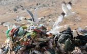 Eurostat: Στις χωματερές συνεχίζει να καταλήγει το 82% των αστικών αποβλήτων στην Ελλάδα- Αναλογούν περίπου 503 κιλά σκουπιδιών, ανά κάτοικο, ετησίως!