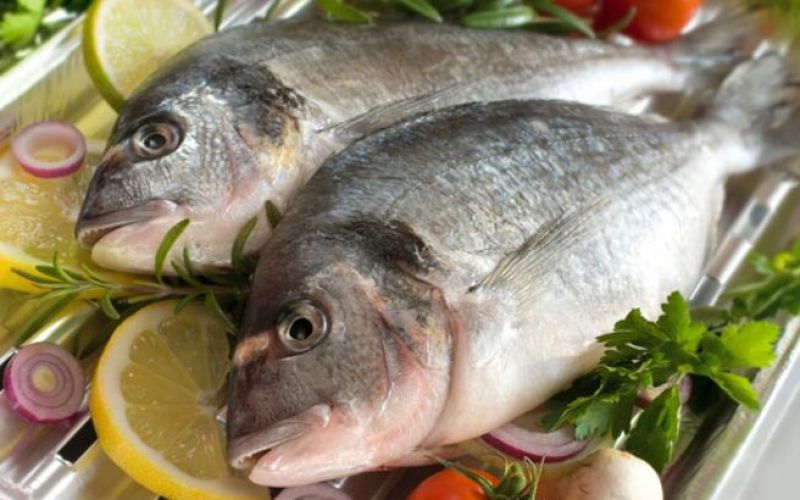 Αλιεία: Δύο στα τρία ψάρια που τρώμε είναι εισαγωγής!
