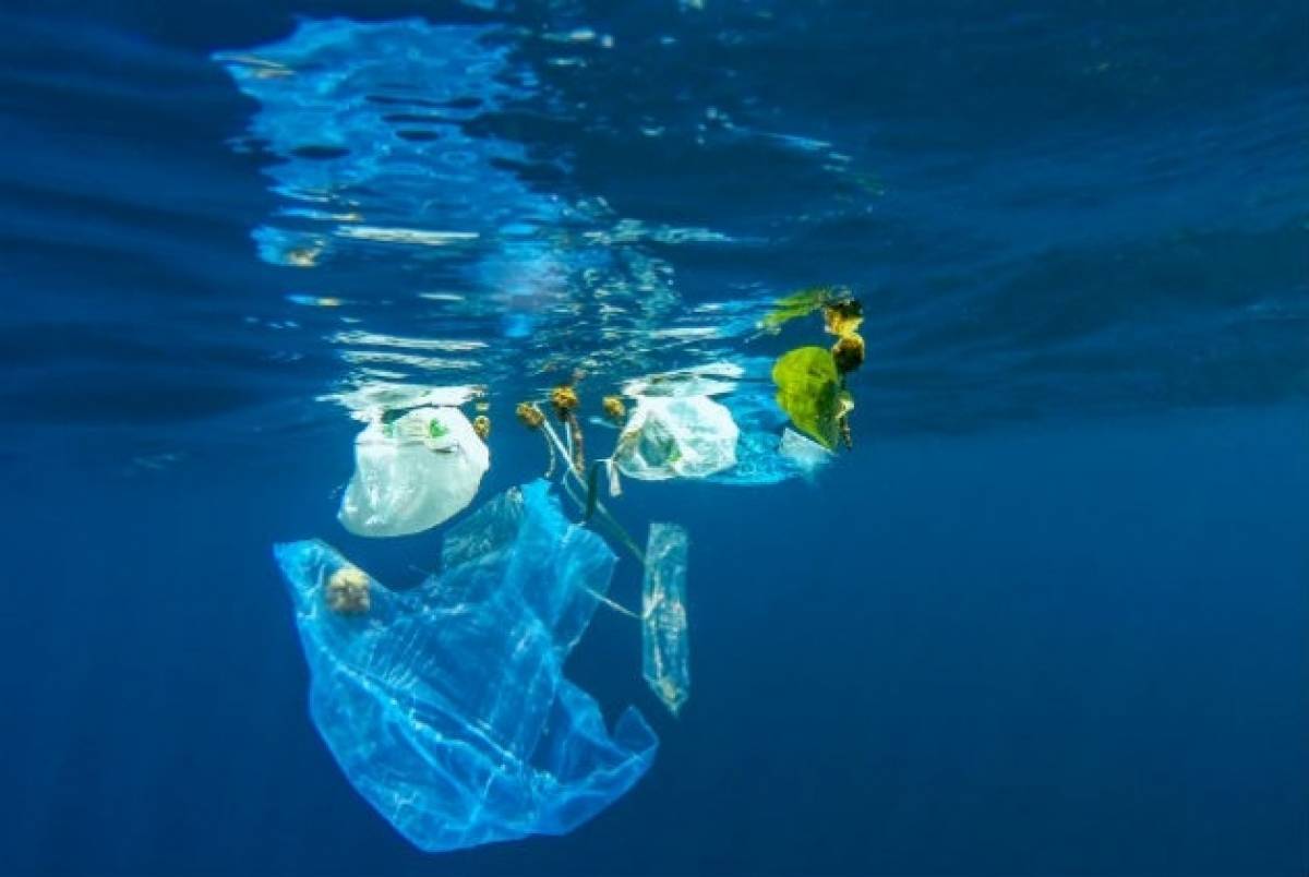 Υπέρ της απαγόρευσης πλαστικών μέχρι το 2021 το Ευρωκοινοβούλιο