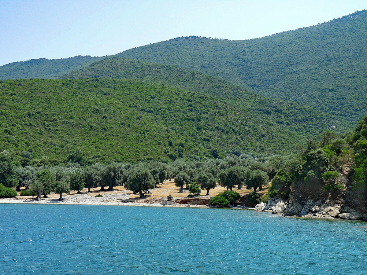 Αναρτήθηκαν τα αποτελέσματα για το «Thessaly Evros Pass»- 35.000 δικαιούχοι