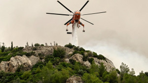 Ηράκλειο: Φωτιά σε αγροτοδασική έκταση - Άμεση κινητοποίηση της πυροσβεστικής
