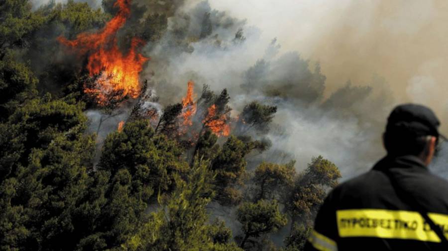 Δώδεκα δασικές πυρκαγιές εκδηλώθηκαν την Παρασκευή στη χώρα