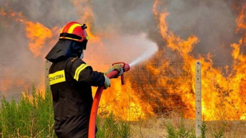 91 δασικές πυρκαγιές το τελευταίο 24ωρο
