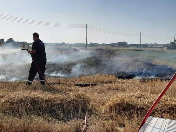 Δήμαρχος Θέρμης: Καταγγέλλει εμπρησμούς στον Δήμο