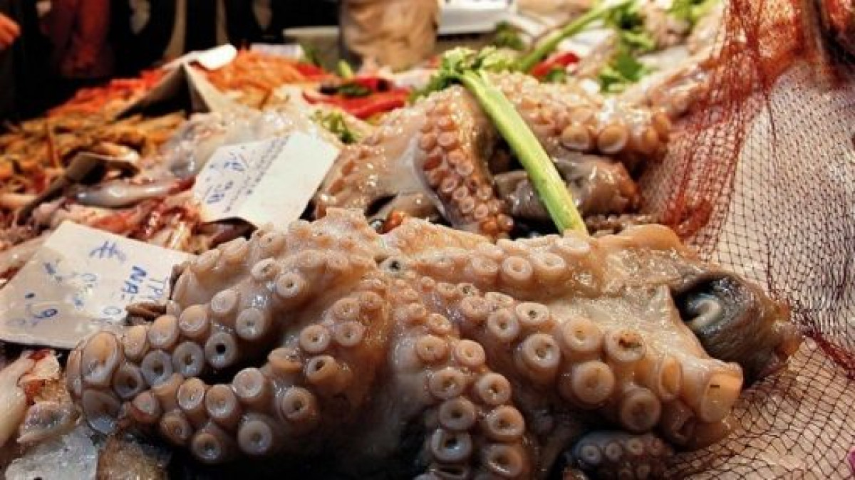 «Καλάθι του Νοικοκυριού» στην Κεντρική Ιχθυαγορά Αθηνών-Πώς διαμορφώνονται οι τιμές