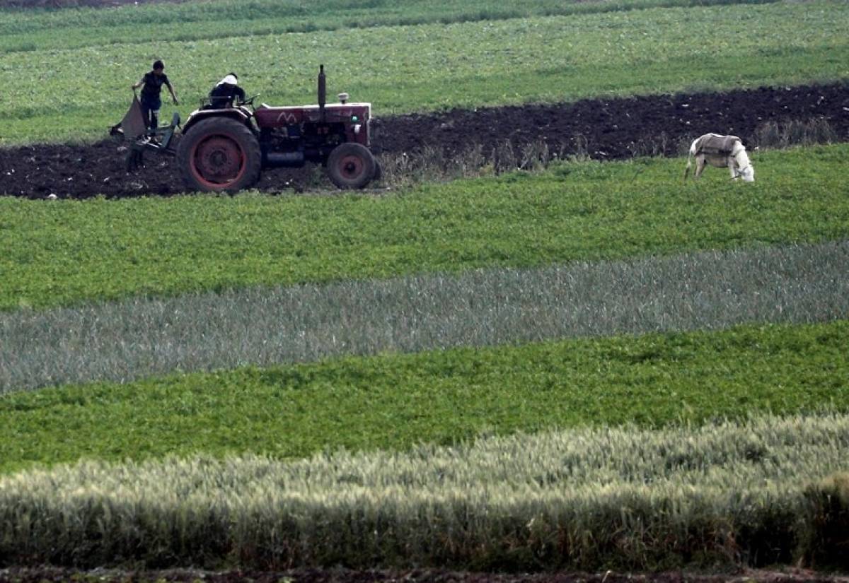 Χωρίς εποχικούς εργάτες η Δυτική Ευρώπη- Αναζητά διαδικτυακές λύσεις