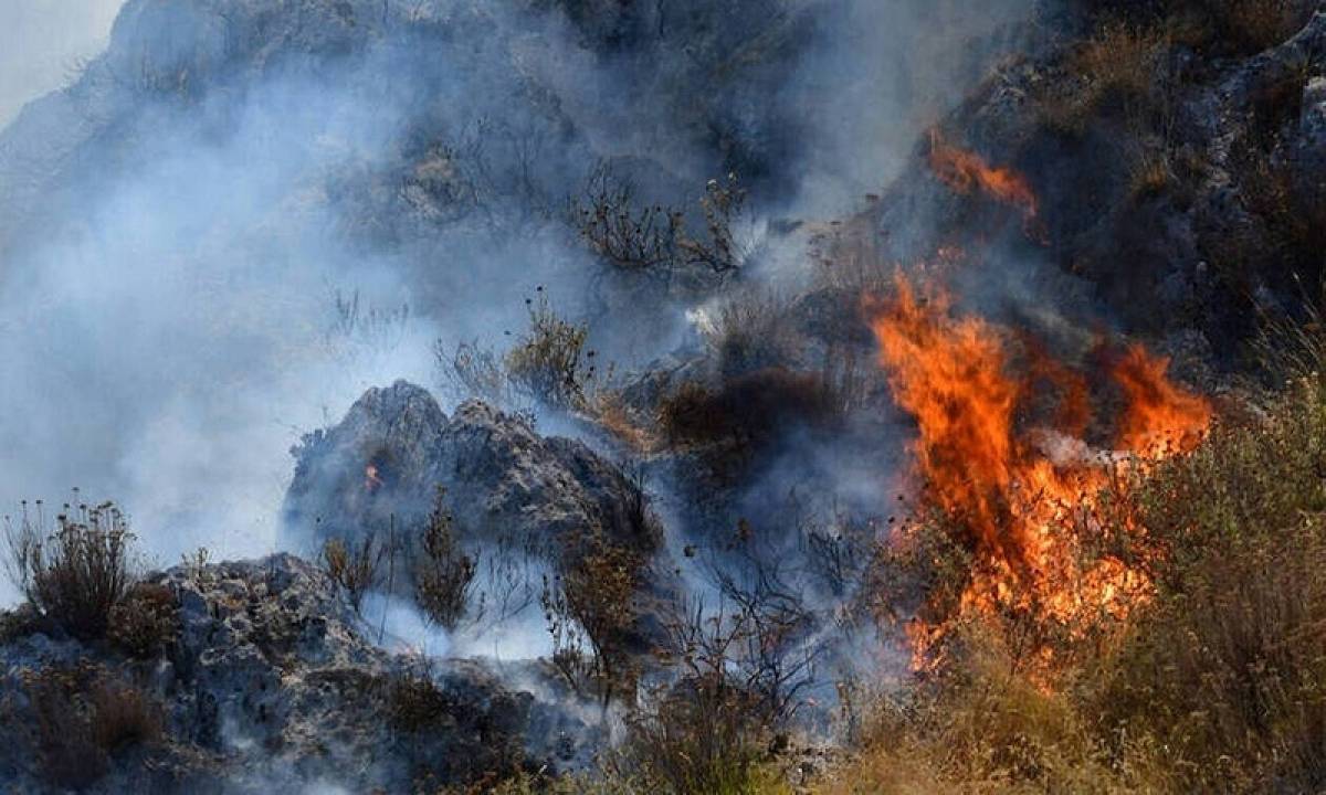 Πυρκαγιά στην Οξιά Καρδίτσας