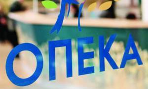 ΟΠΕΚΑ: Κλείνει προσωρινά η ηλεκτρονική πλατφόρμα για το επίδομα παιδιού