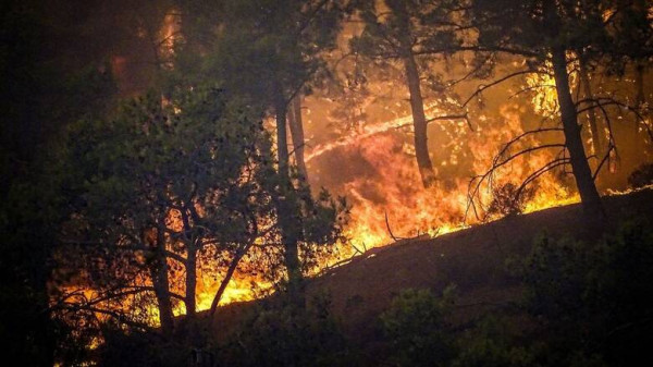 Ακραίος κίνδυνος πυρκαγιάς την Τρίτη (25/7) σε τέσσερις περιοχές