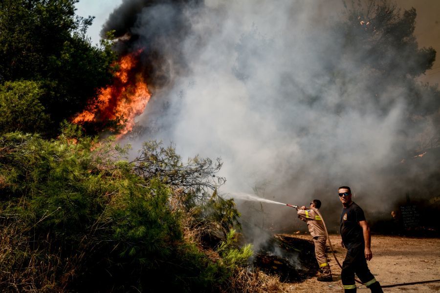 Φωτιά σε δασική έκταση στην Αμαλιάδα