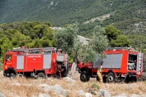 Φωτιά στον Σέκουλα Ηλείας